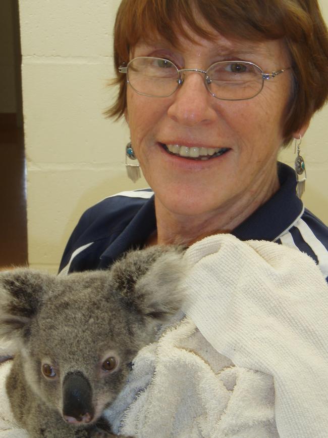 Vanda Grabowski with a rescued koala. Image supplied.