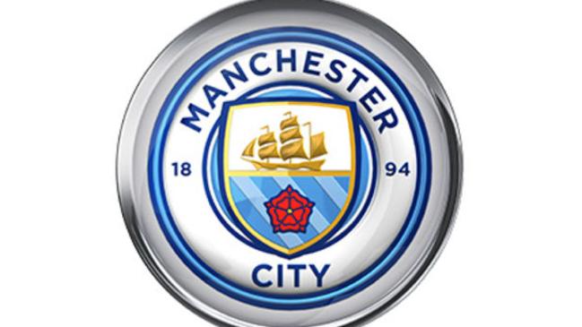 Premier League emblems