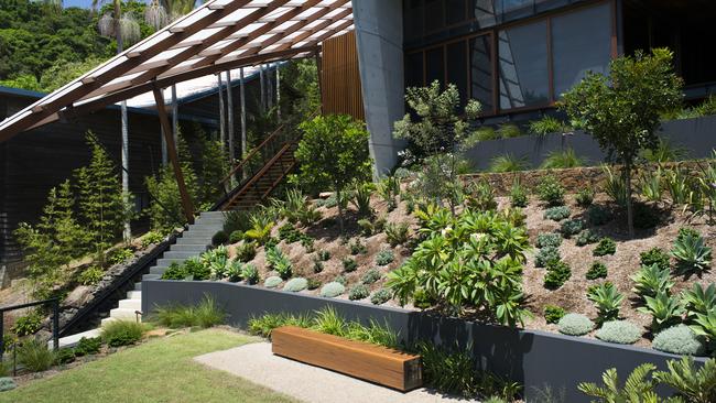 Given the house sits towards the back of the block, the front garden also represented the main green space on the 1000sqm site.