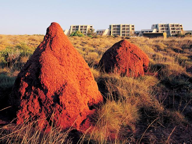 Barrow Island the place Chevron doesn t want anyone to see news