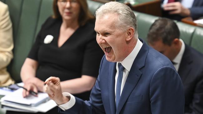 CANBERRA, AUSTRALIA, NewsWire Photos. NOVEMBER 30, 2023: Leader of the House Tony Burke during Question Time at Parliament House in Canberra. Picture: NCA NewsWire / Martin Ollman