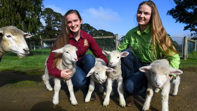 Mum Charlotte keeps an eye on her babies held by Erin Douglas and Tess Runting. Picture: Penny Stephens