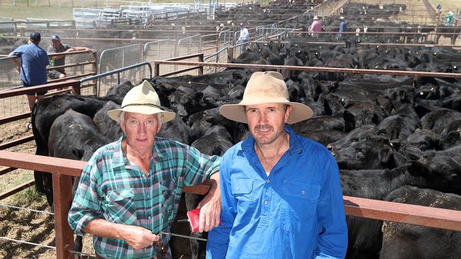 Allan and Robert Sheean, from Swifts Creek, sold their lot for $1700. Picture: Yuri Kouzmin