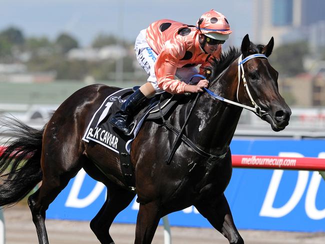 Black Caviar, with Luke Nolen on-board in the Newmarket Handicap.