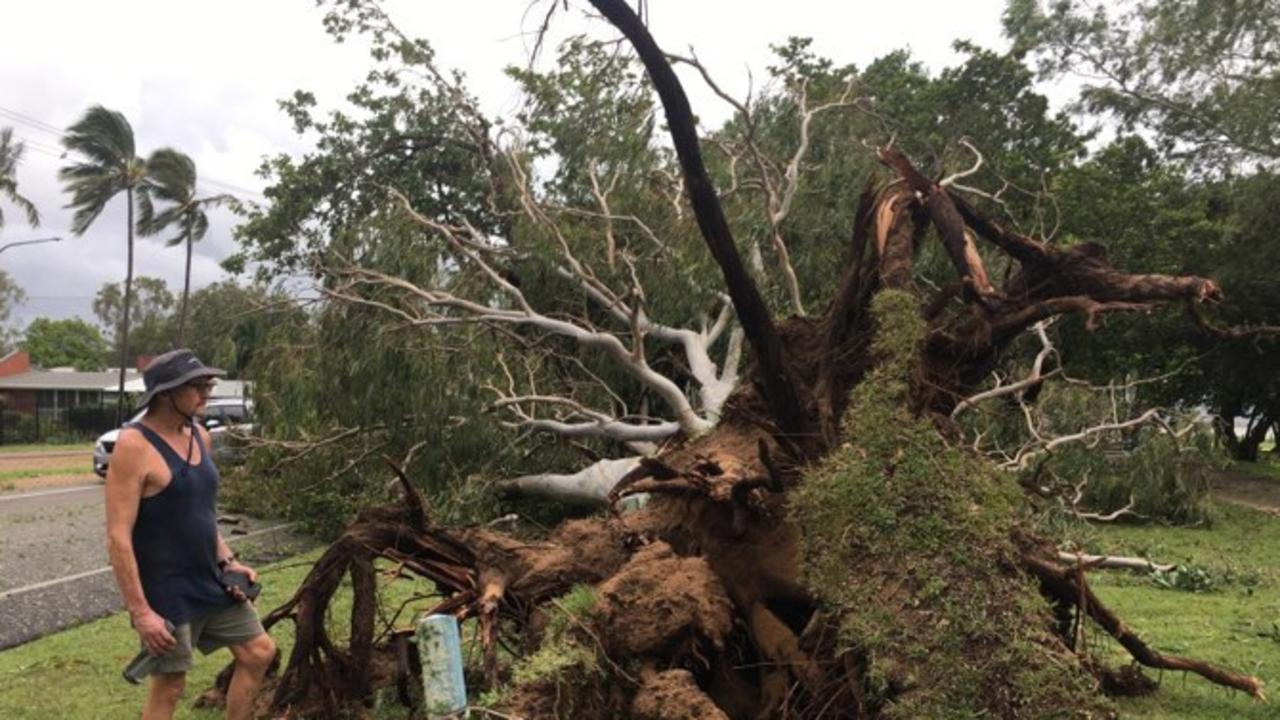 Tropical Cyclone Kirrily 2024: Locals survey the damage the morning after.