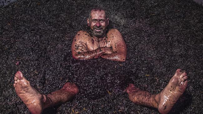 Winemaker Steve Pannell during his most recent vintage. Picture: Richard Lyons.