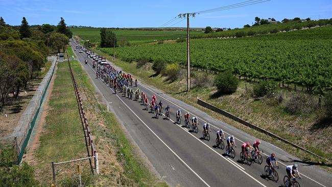 And then past the vineyards on the way up Willunga Hill. Picture: Tim de Waele/Getty Images