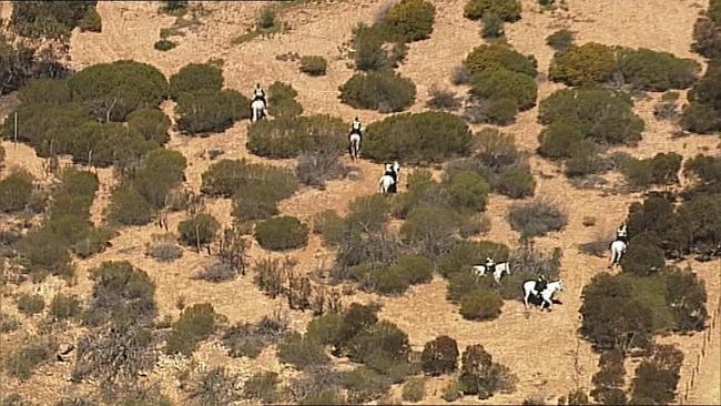 Horse-mounted police search the property for evidence. Picture: 7 News Adelaide