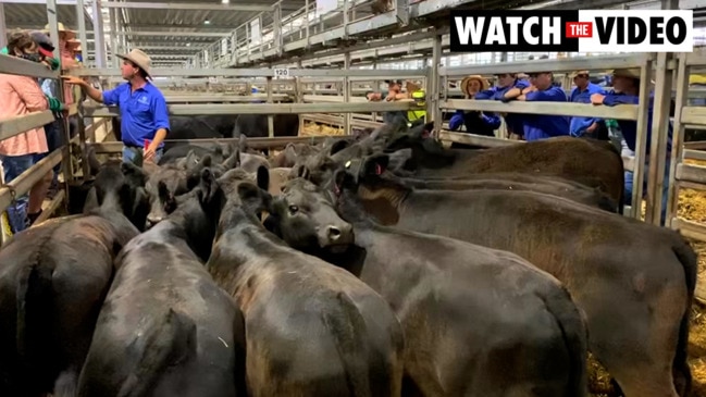 2022 Weaner calf sales at Wodonga