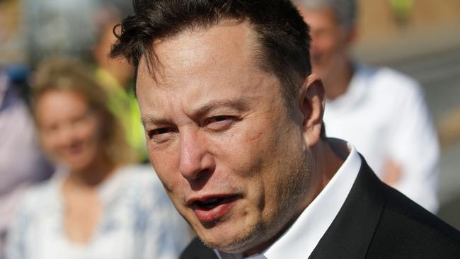 Tesla CEO Elon Musk was hailed as the “CEO” of dogecoin one investor. Picture: Odd Andersen/AFP