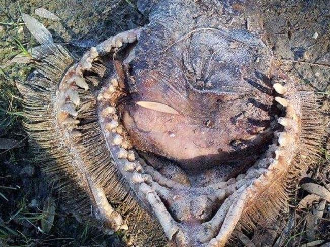 The ‘mystery mouth’ at Lake Cathie.