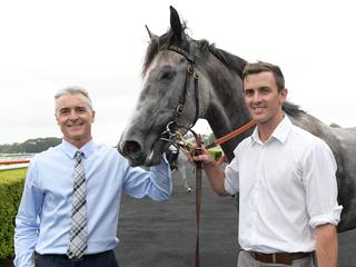 Gosford, Armidale preview: Slow learner is ready to deliver