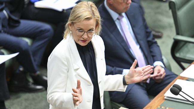 Deputy opposition leader Sussan Ley has criticised Labor’s Future Made in Australia ads. Picture: NewsWire/Martin Ollman