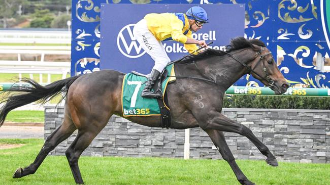 Hiyaam Proud won his for two starts at Geelong and Eagle Farm for Mornington trainer Matt Laurie. Picture: Racing Photos via Getty Images.