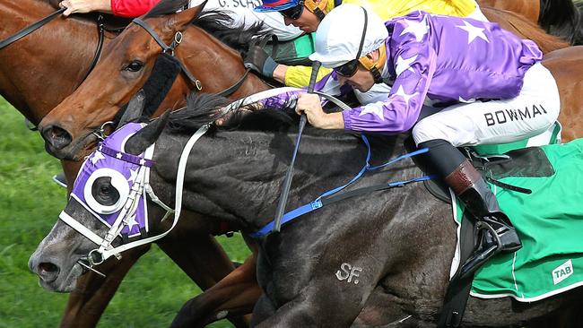 Foxplay will be hard to beat in the Light Fingers Stakes. Picture: Jenny Evans
