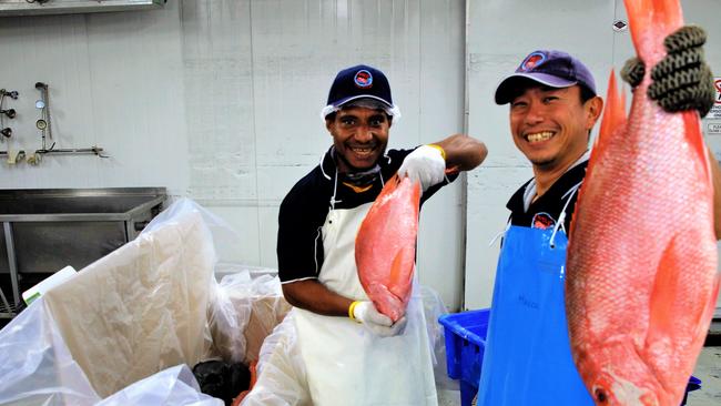 ISP Fish Market workers Niggins William and Makoto Chiba will benefit from a planned $10 million export hub, with deafood demand hot overseas. Picture: Chris Calcino