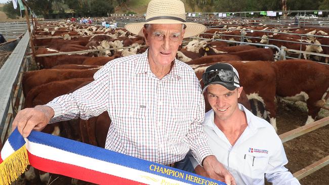 Barry Newcomen and his stud manager Tom King at the Ensay sale where Barry had the best presented pen of cattle.