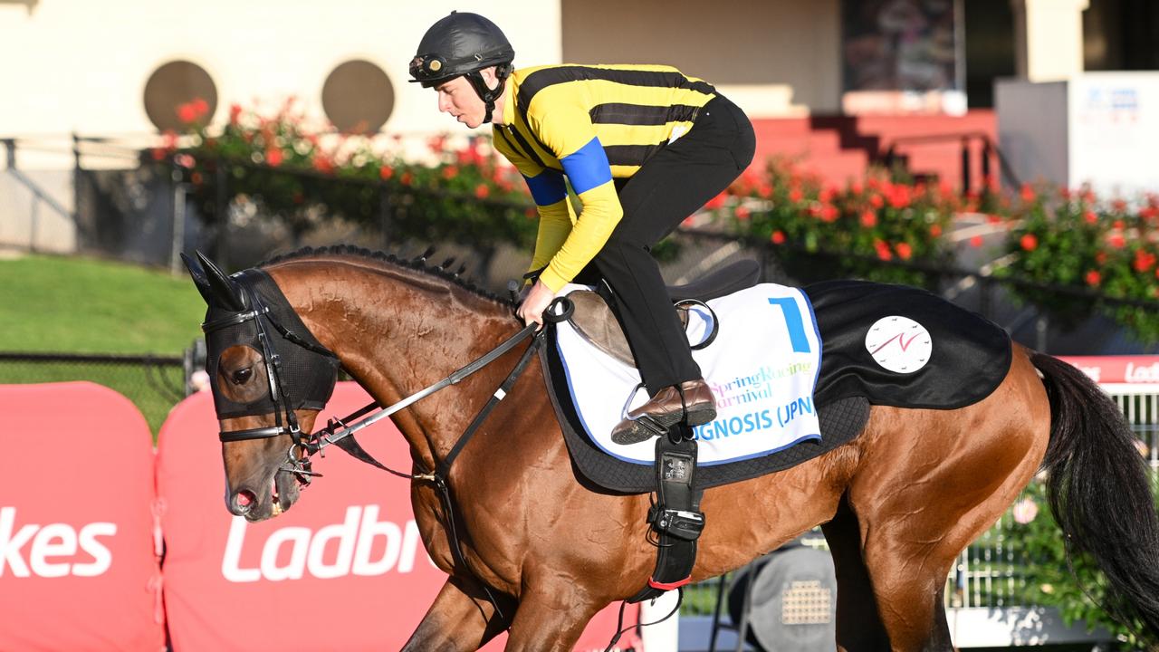 Prognosis has been specifically aimed at the Cox Plate on Saturday. Picture: Vince Caligiuri / Getty Images