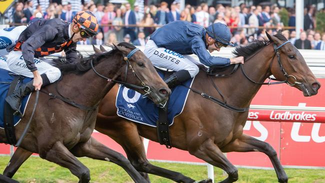 Gamay, ridden by Declan Bates (navy blue) and trained by Archie Alexander edges out Vegas Jewel in a thriller. Picture Jay Town