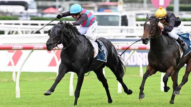 The brilliant Antino. Picture: Grant Peters / Trackside Photography