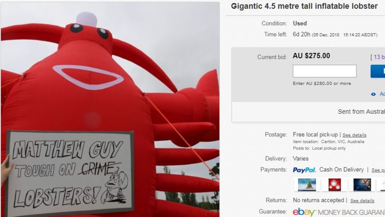 The eBay ad for Pinchy. Picture: Supplied