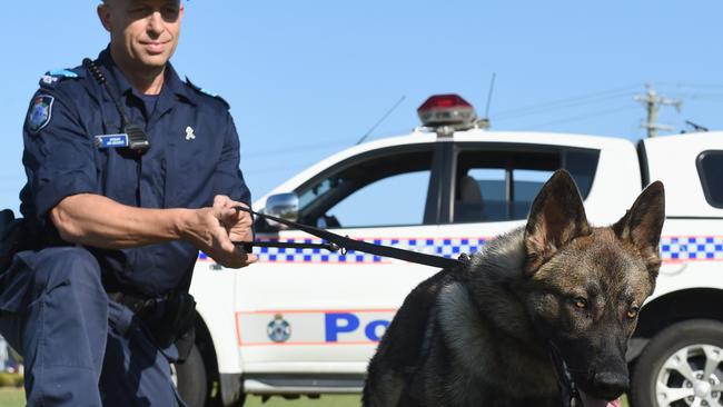 Sergeant Ian Grigoris with recruit dog Rambo. Photo: Robyne Cuerel / Fraser Coast Chronicle