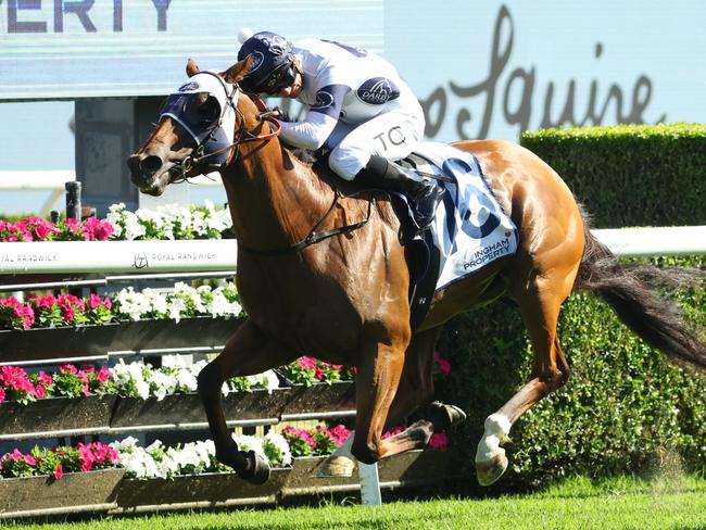 SYDNEY, AUSTRALIA - DECEMBER 14: Tim Clark riding Robusto Ã¢â¬â¹wins Race 8 The Ingham during Sydney Racing at Royal Randwick Racecourse on December 14, 2024 in Sydney, Australia. (Photo by Jeremy Ng/Getty Images)