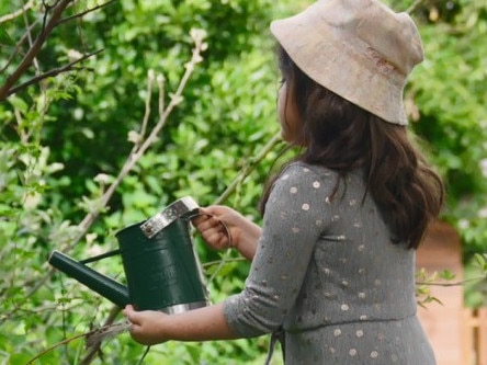 The motto at Hills Montessori is “help me to do it myself”.