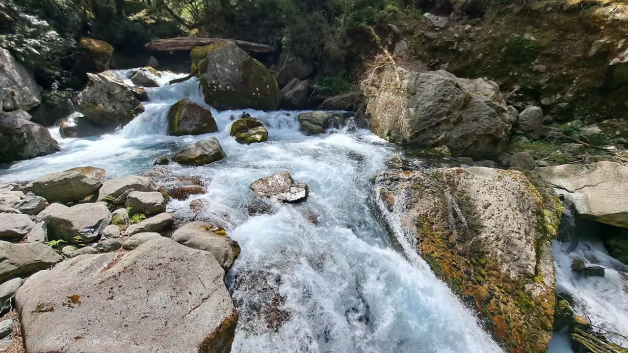 The girl fell into the fast-flowing creek and was swept under. Picture: 1News