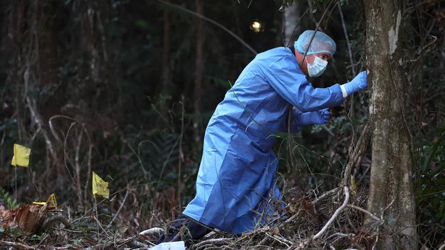 Police search Good Night Scrub National Park looking for the missing 17-year-old Pheobe Bishop. Picture: Adam Head