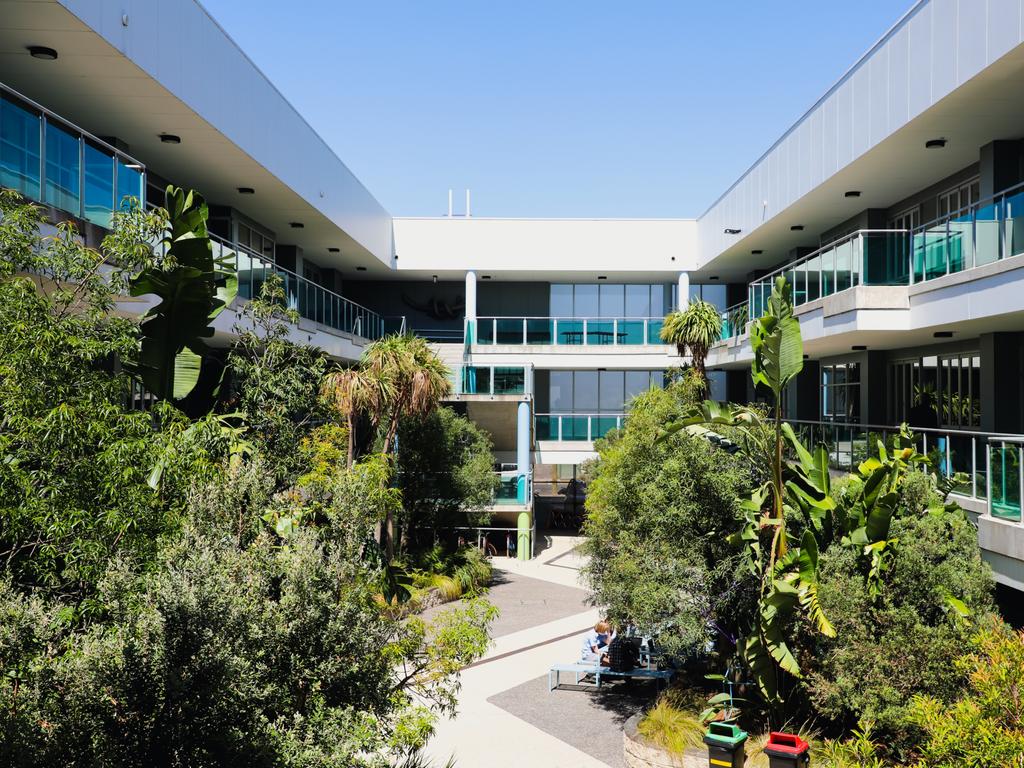 Albert Park College has been lauded for its environmental credentials. Picture: Supplied