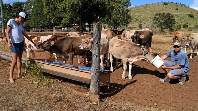 RETURNED: Michelle and Robbie Radel are back dairying at the Happy Valley dairy farm at Coalstoun Lakes. Picture: Erica Murree