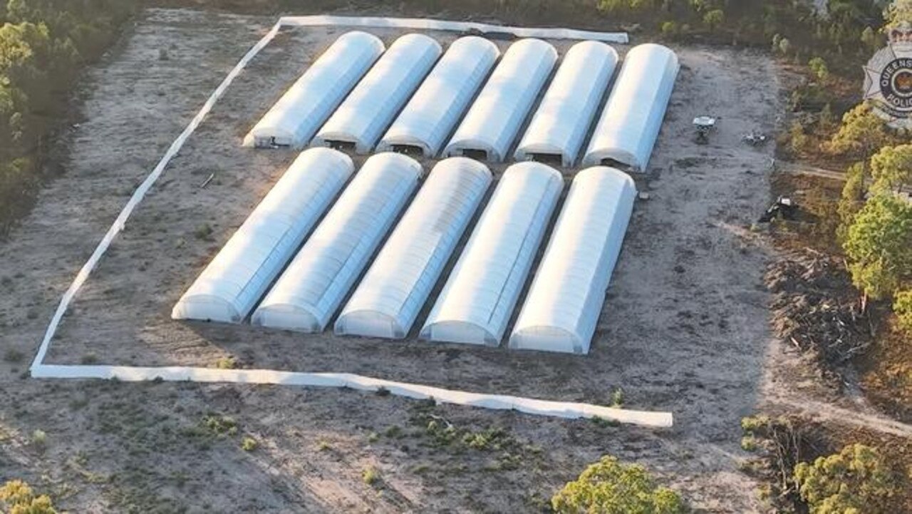 Police found 11 greenhouses on the property, 10 of which contained 4932 cannabis plants weighing about 2072kg, along with fluorescent lighting and hydroponic equipment.