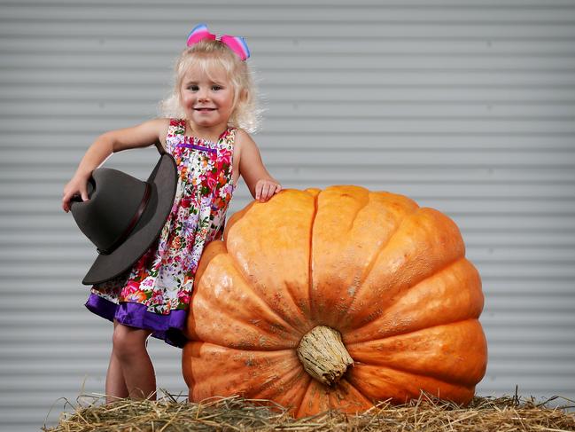 Montanna Hewitt 3 pictured with a giant pumpkin at the Sydney Royal Easter Show. Picture: Toby Zerna