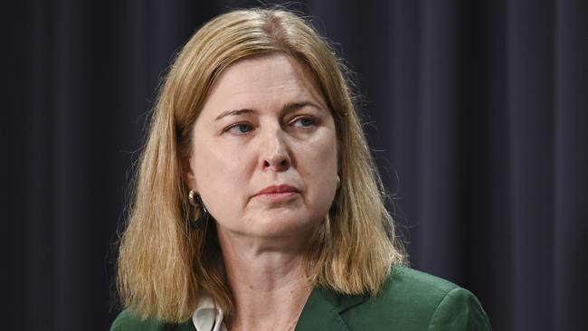 CANBERRA, Australia - NewsWire Photos - October 14, 2024: Minister for Agriculture, Fisheries and Forestry, Julie Collins holds a press conference at Parliament House in Canberra. Picture: NewsWire / Martin Ollman