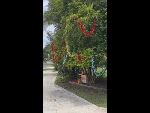 Real-life Grinch strikes Deception Bay