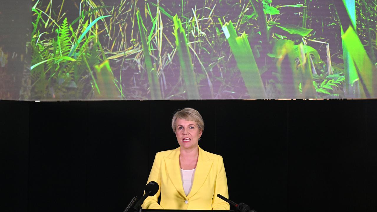 Environment Minister Tanya Plibersek has signed the COP15 biodiversity proitection committment. Picture: Dan Peled