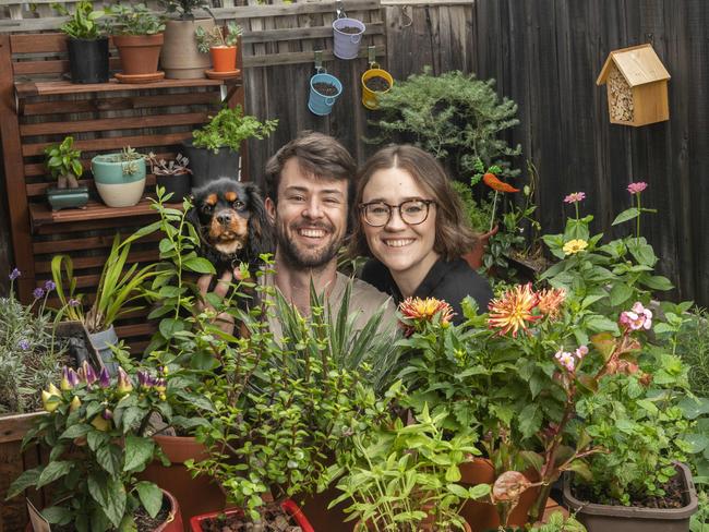 Madeleine Stuchbery and Lachlan Gillies (with Nugget) moved into their new Mentone home during COVID and completely transformed the courtyard into a little haven. Picture: Rob Leeson.