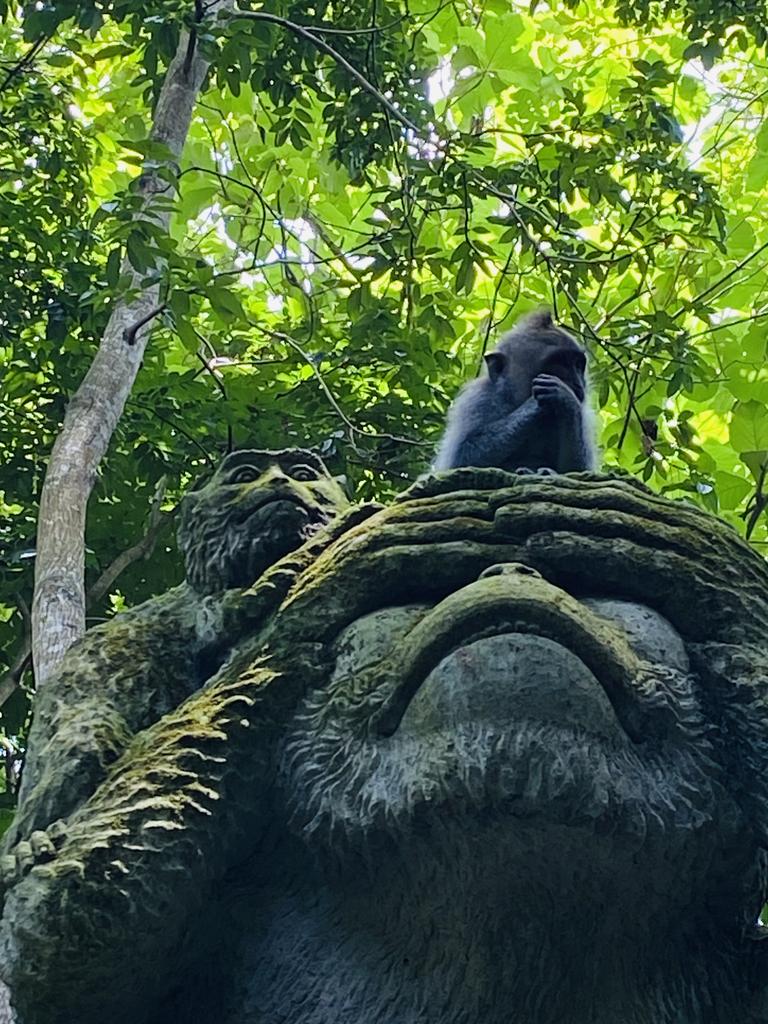 The Sacred Monkey Forest Sanctuary has scores of disaster stories from visitors. Picture: Supplied