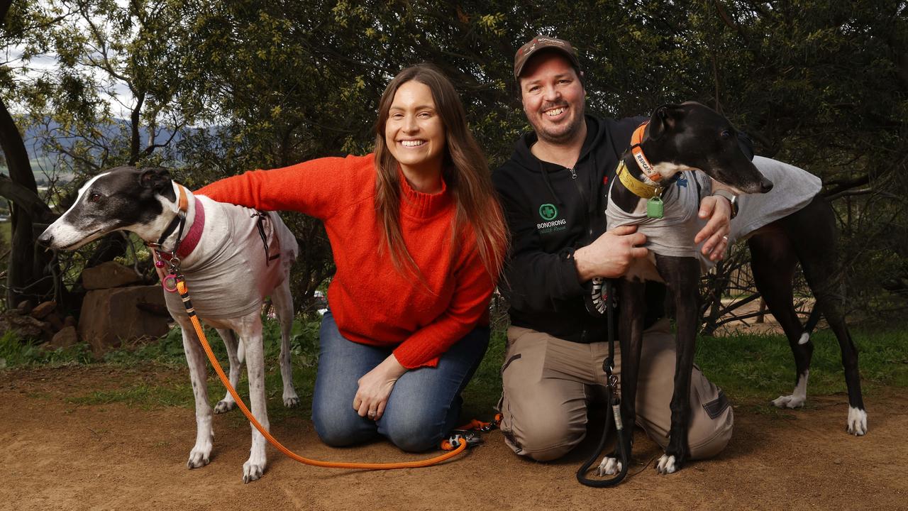 Christie Hayes actor and radio announcer with greyhound Gracie-May along with Greg Irons director of Bonorong Wildlife Sanctuary with greyhound Jimmy. Picture: Nikki Davis-Jones