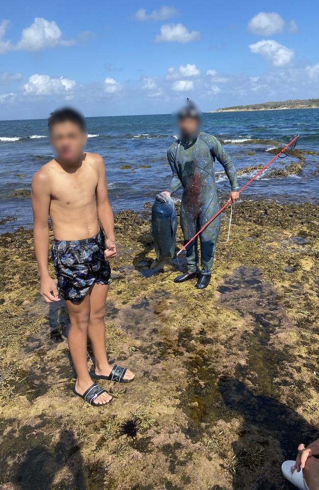 A spearfisherman in New South Wales was fined $500 by the police and an additional $300 by NSW Fisheries for killing a beloved blue groper named ‘Gus’ in a no-spearfishing zone near Oak Park rock pool in Cronulla.