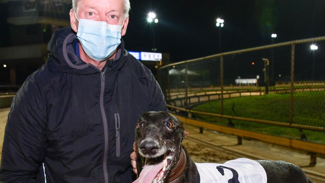 Renowned race caller Ron Hawkswell backs local dog Simon Told Helen to ...