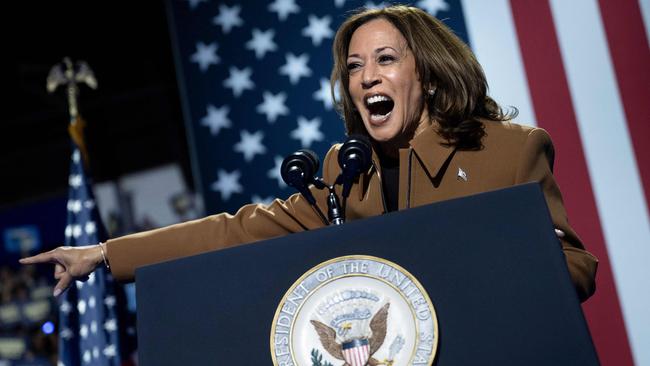 US Vice-President and Democratic presidential candidate Kamala Harris speaks during a campaign rally in Kalamazoo, Michigan. Picture: AFP