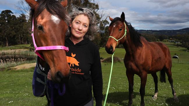 Emma Haswell with Ziggy at front and Dolly who are both former race horses rescued and now living at Brightside Farm Sanctuary in the Huon Valley. Picture: Nikki Davis-Jones