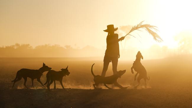 Tia Ford plays with the working dogs. Picture: Stacey Ford Photography