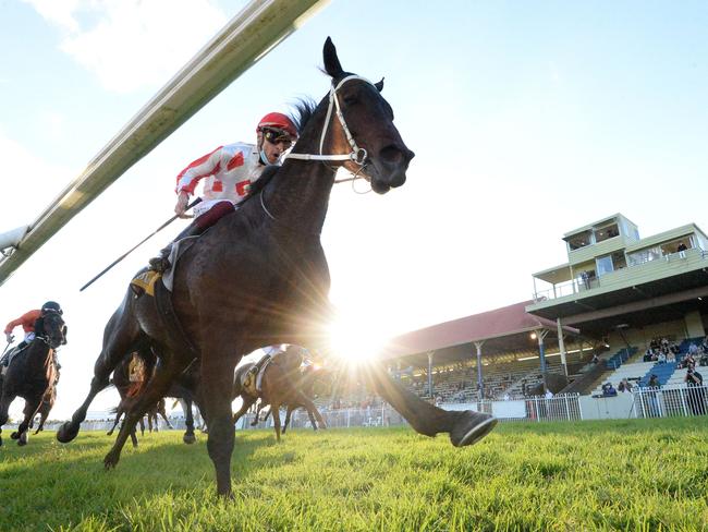 Ashley Morgan pushes Texas Storm on to win the 2021 South Grafton Cup for Bob Milligan. Photo: Trackside Photography.