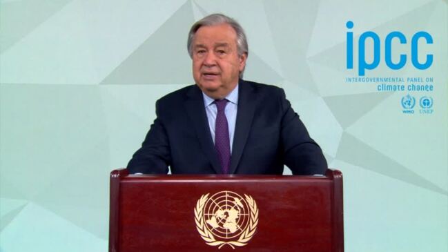 U.N. chief urges faster shift to 'net zero'