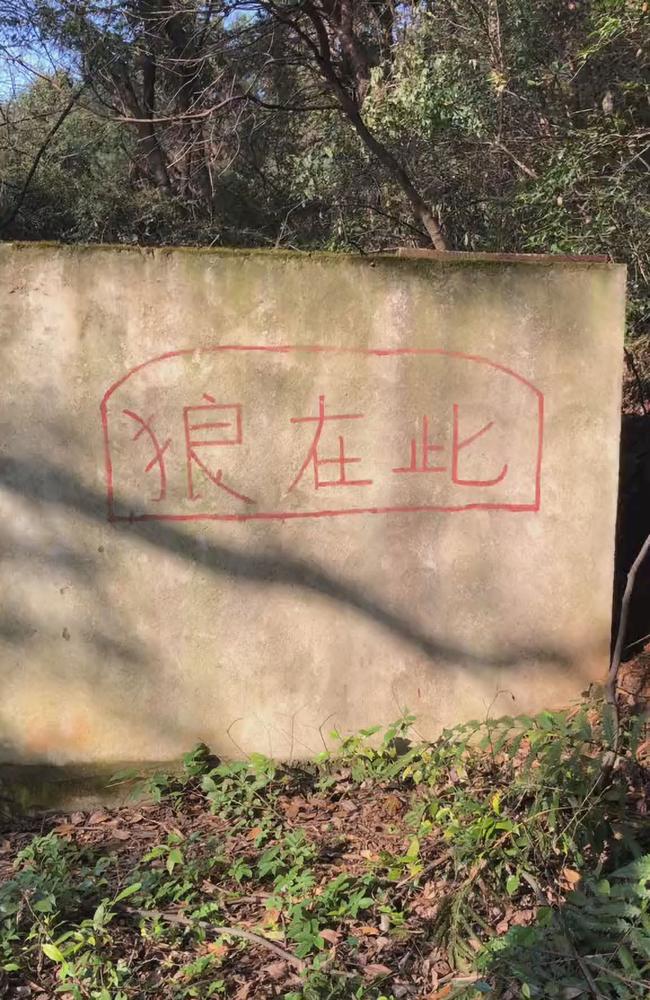 Picture shows 'Wolf is here' written on the wall leading to a dog that was put in the wolf's cage in the Xiangwushan Zoo, in the city of Xianning in the central Chinese province of Hubei. Picture: Yiyayiyayao/AsiaWire