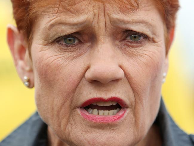 SATURDAY TELEGRAPH - Pictured outside a pre polling booth in Singleton today is One Nation Leader Pauline Hanson to support Local One Nation Candidate Dale McNamara for the Upper Hunter By Election. Picture: Tim Hunter.