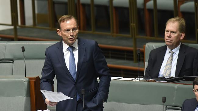 Tony Abbott speaks in support of amendments to the marriage equality bill in the House of Representatives today. Picture: Michael Masters/Getty Images